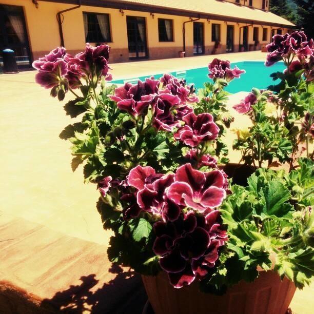 Del Riccio Hotel Martirano Εξωτερικό φωτογραφία